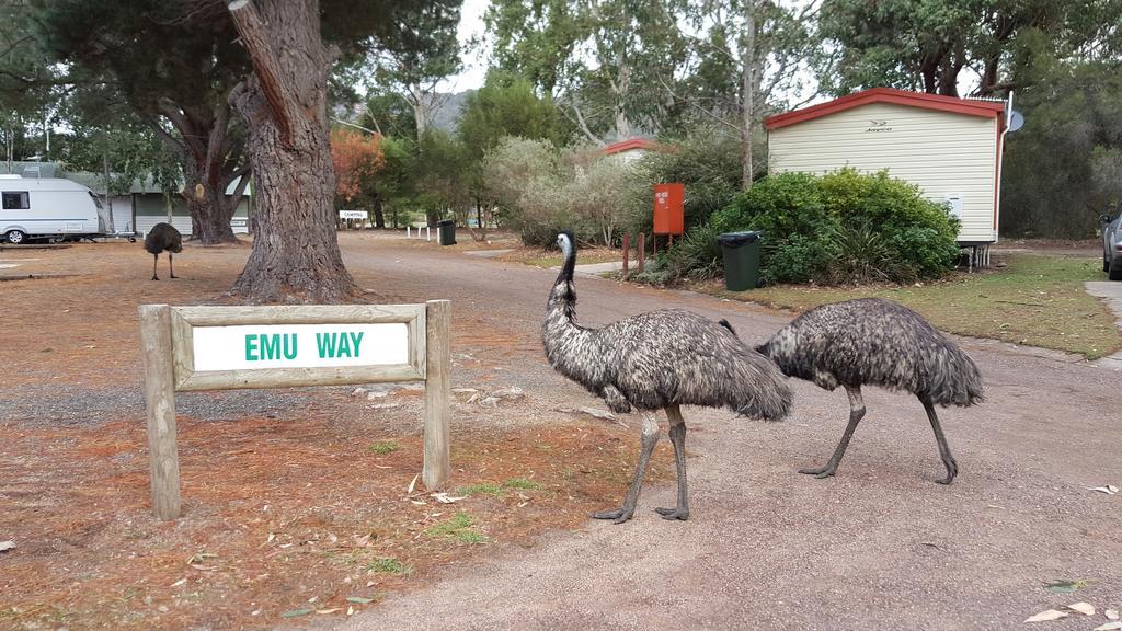 Breeze Holiday Parks - Grampians Halls Gap Extérieur photo