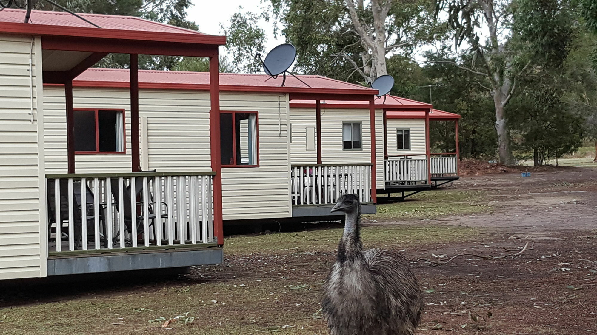 Breeze Holiday Parks - Grampians Halls Gap Extérieur photo