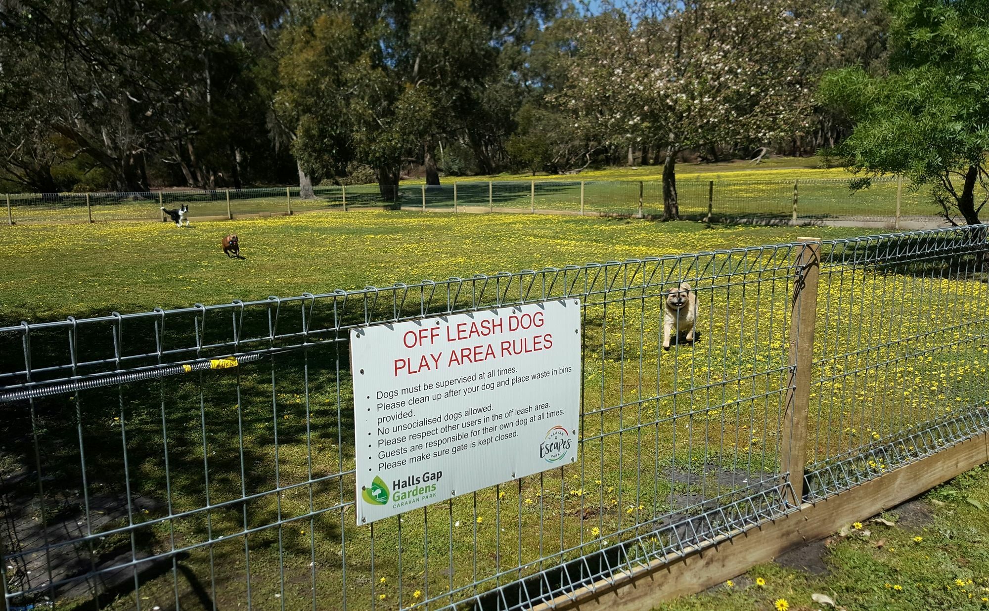 Breeze Holiday Parks - Grampians Halls Gap Extérieur photo